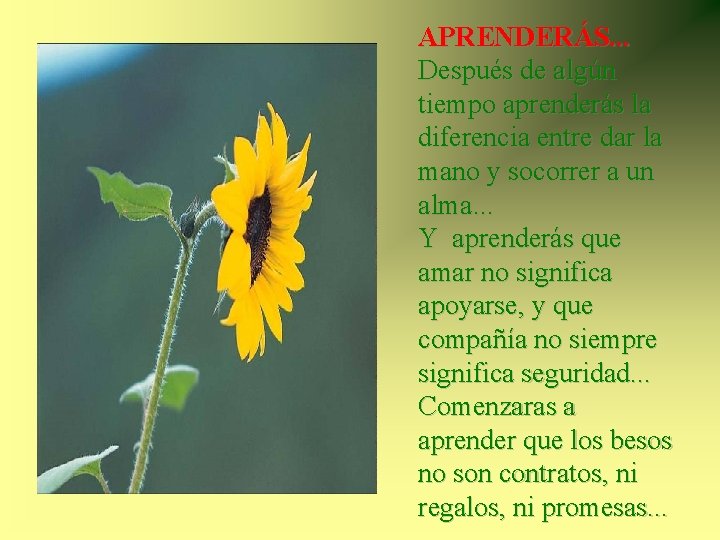 APRENDERÁS. . . Después de algún tiempo aprenderás la diferencia entre dar la mano