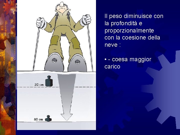 Il peso diminuisce con la profondità e proporzionalmente con la coesione della neve :