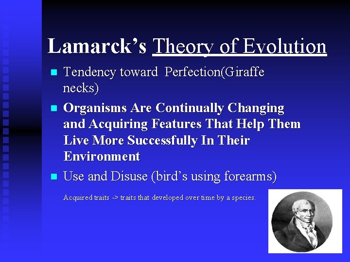 Lamarck’s Theory of Evolution n Tendency toward Perfection(Giraffe necks) Organisms Are Continually Changing and