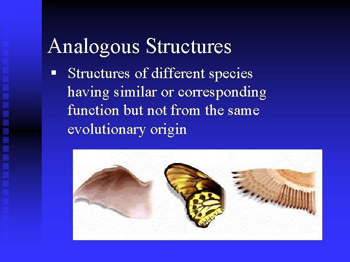 Analogous Structures § Structures of different species having similar or corresponding function but not