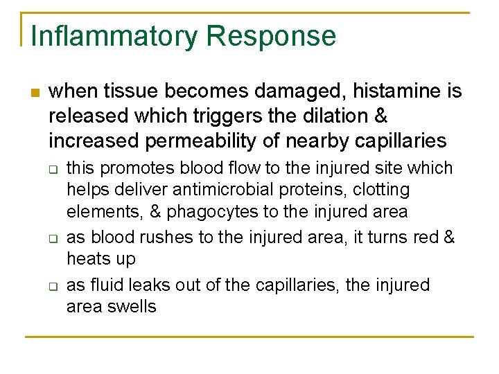 Inflammatory Response n when tissue becomes damaged, histamine is released which triggers the dilation Inflammatory Response n when tissue becomes damaged, histamine is released which triggers the dilation