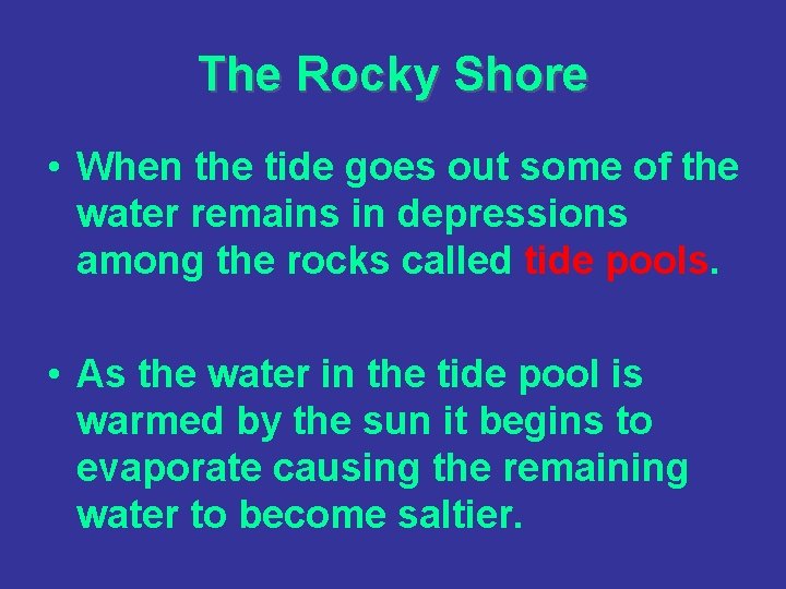 The Rocky Shore • When the tide goes out some of the water remains