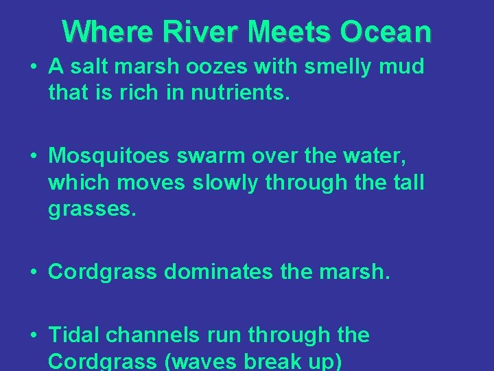 Where River Meets Ocean • A salt marsh oozes with smelly mud that is