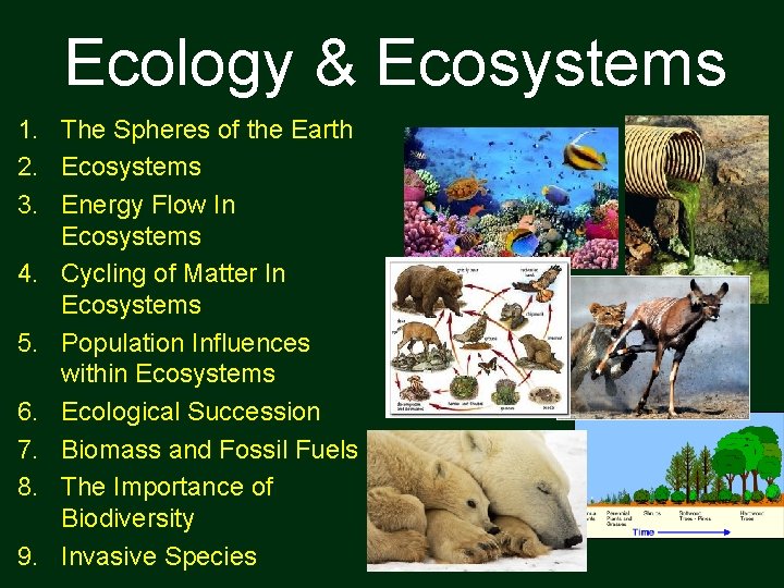 Ecology & Ecosystems 1. The Spheres of the Earth 2. Ecosystems 3. Energy Flow