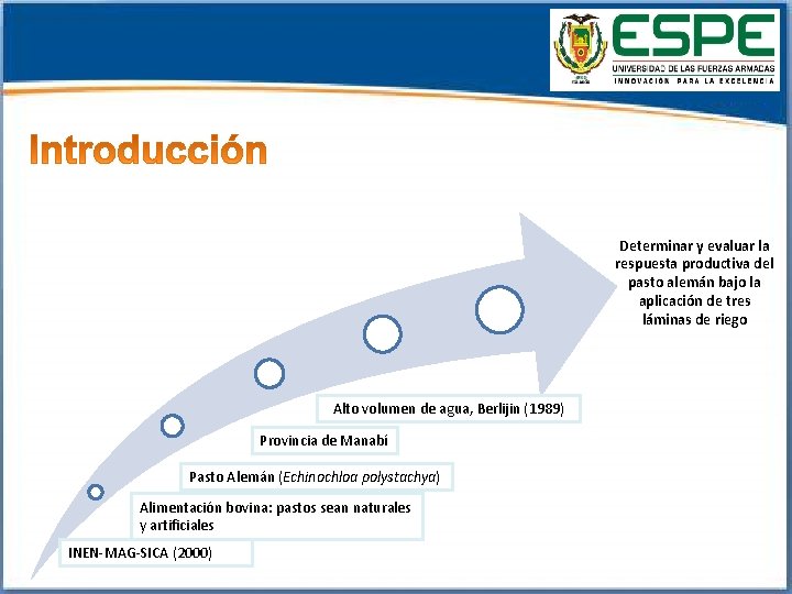 VICERRECTORADO DE INVESTIGACIN INNOVACIN Y TRANSFERENCIA DE TECNOLOGA