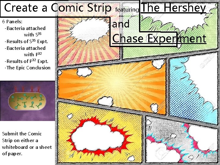 Create a Comic Strip 6 Panels: -Bacteria attached with S 35 -Results of S