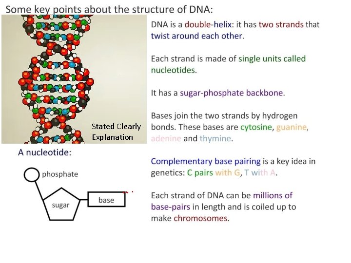 Stated Clearly Explanation 