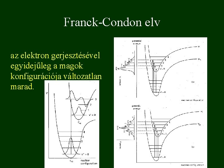 Franck-Condon elv az elektron gerjesztésével egyidejűleg a magok konfigurációja változatlan marad. 
