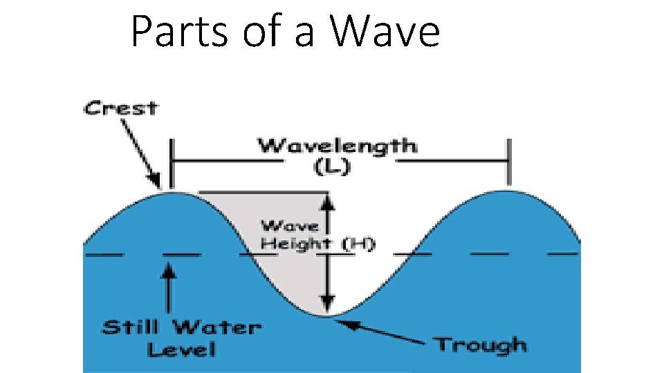 Parts of a Wave 