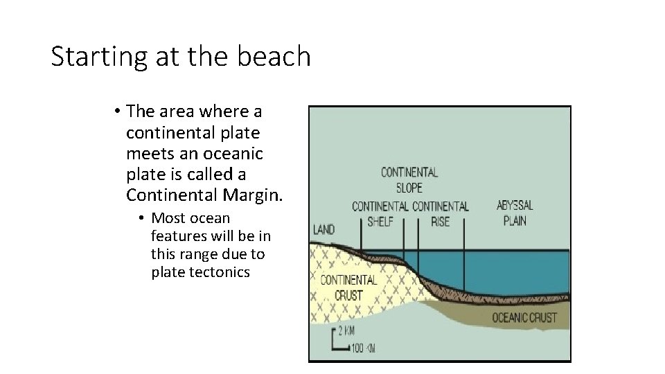 Starting at the beach • The area where a continental plate meets an oceanic