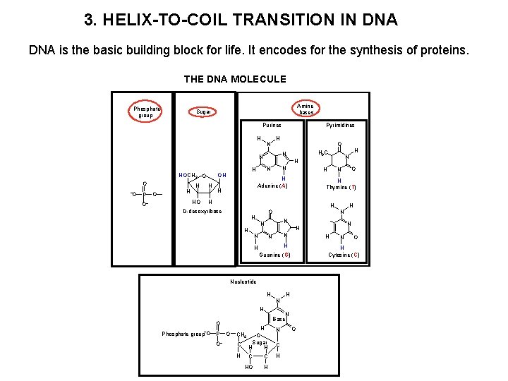 3. HELIX-TO-COIL TRANSITION IN DNA is the basic building block for life. It encodes