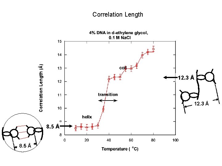 Correlation Length 12. 3 Å 8. 5 Å 