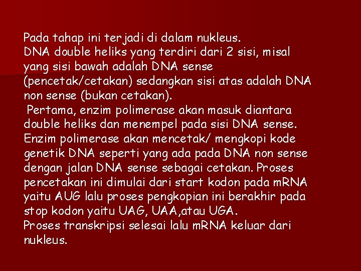 Pada tahap ini terjadi di dalam nukleus. DNA double heliks yang terdiri dari 2