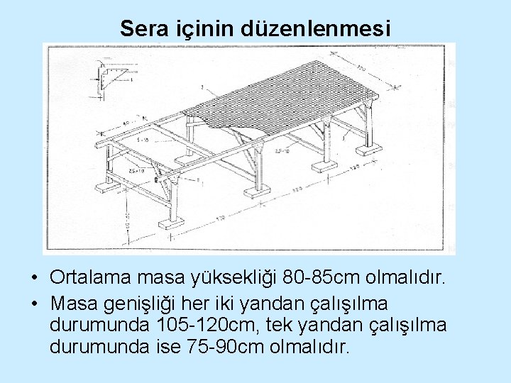 Sera içinin düzenlenmesi • Ortalama masa yüksekliği 80 -85 cm olmalıdır. • Masa genişliği