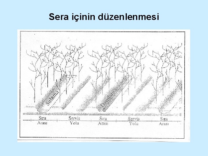 Sera içinin düzenlenmesi 