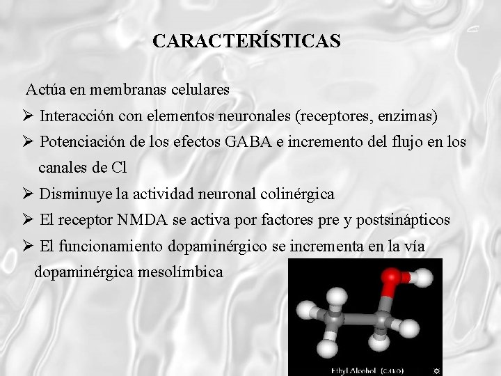 CARACTERÍSTICAS Actúa en membranas celulares Interacción con elementos neuronales (receptores, enzimas) Potenciación de los