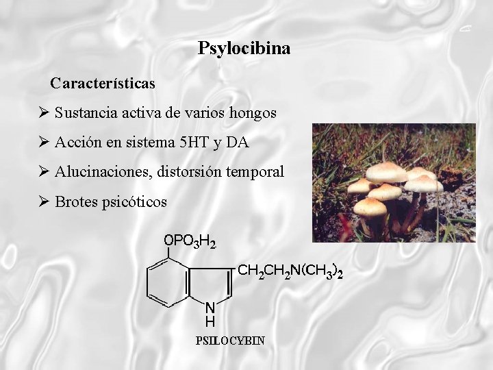 Psylocibina Características Sustancia activa de varios hongos Acción en sistema 5 HT y DA