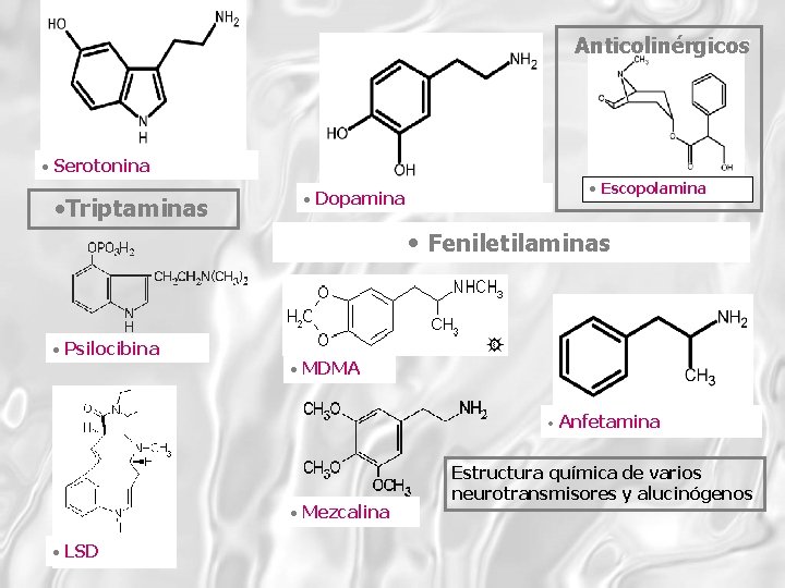 Anticolinérgicos • Serotonina • Triptaminas • Dopamina • Escopolamina • Feniletilaminas • Psilocibina •