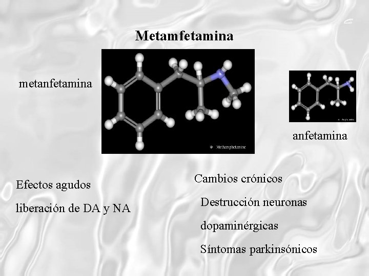 Metamfetamina metanfetamina Efectos agudos liberación de DA y NA Cambios crónicos Destrucción neuronas dopaminérgicas