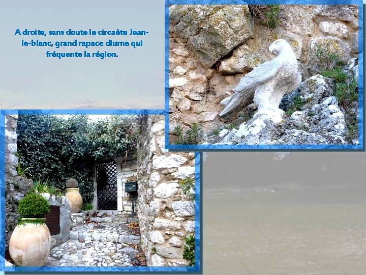 A droite, sans doute le circaète Jeanle-blanc, grand rapace diurne qui fréquente la région.