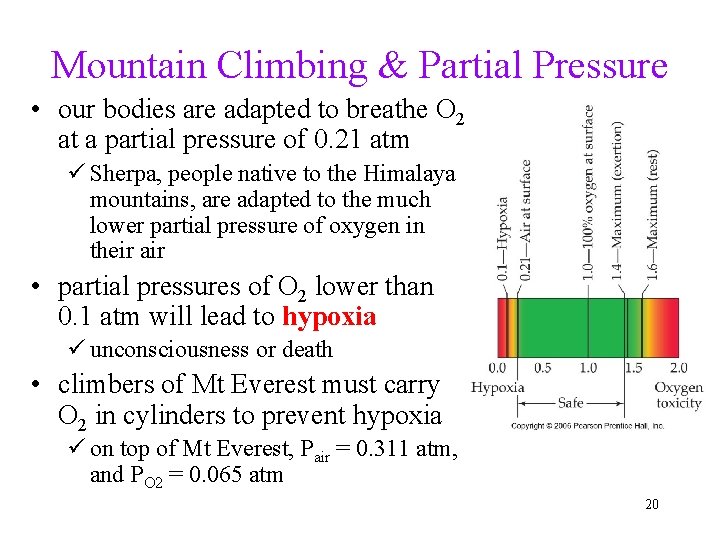 Mountain Climbing & Partial Pressure • our bodies are adapted to breathe O 2