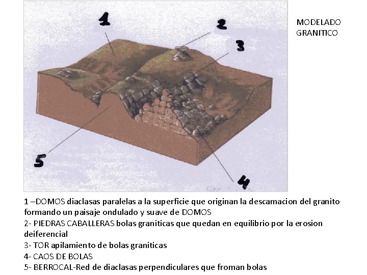 MODELADO GRANITICO 1 –DOMOS diaclasas paralelas a la superficie que originan la descamacion del