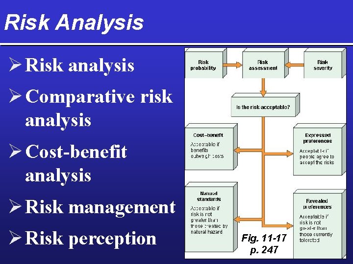 Risk Analysis Ø Risk analysis Ø Comparative risk analysis Ø Cost-benefit analysis Ø Risk