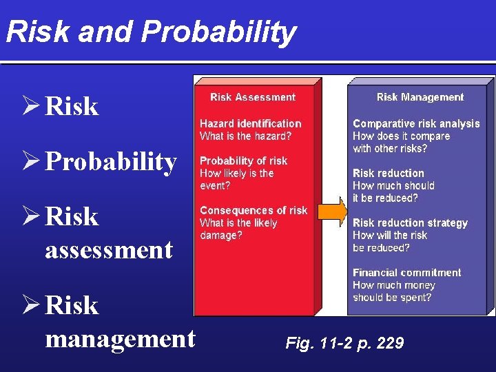Risk and Probability Ø Risk Ø Probability Ø Risk assessment Ø Risk management Fig.
