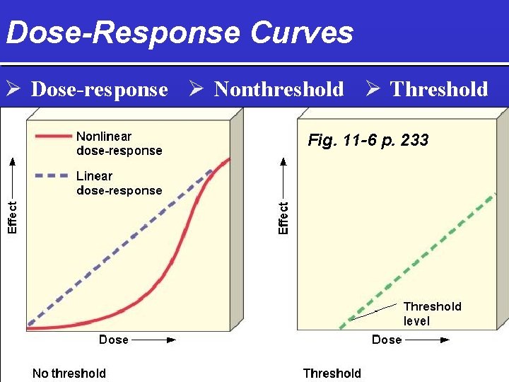 Dose-Response Curves Ø Dose-response Ø Nonthreshold Ø Threshold Fig. 11 -6 p. 233 