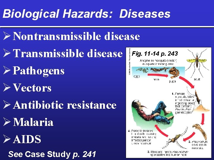 Biological Hazards: Diseases Ø Nontransmissible disease Ø Transmissible disease Fig. 11 -14 p. 243