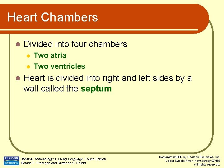 Heart Chambers l Divided into four chambers l l l Two atria Two ventricles