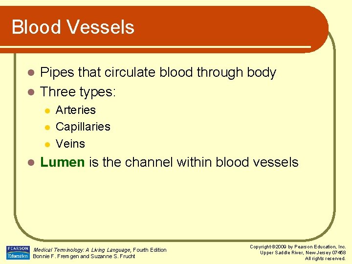 Blood Vessels Pipes that circulate blood through body l Three types: l l l