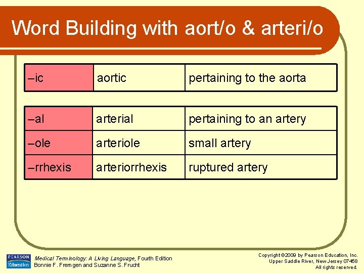 Word Building with aort/o & arteri/o –ic aortic pertaining to the aorta –al arterial