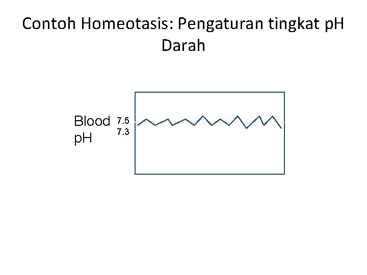 Contoh Homeotasis: Pengaturan tingkat p. H Darah Blood p. H 7. 5 7. 3