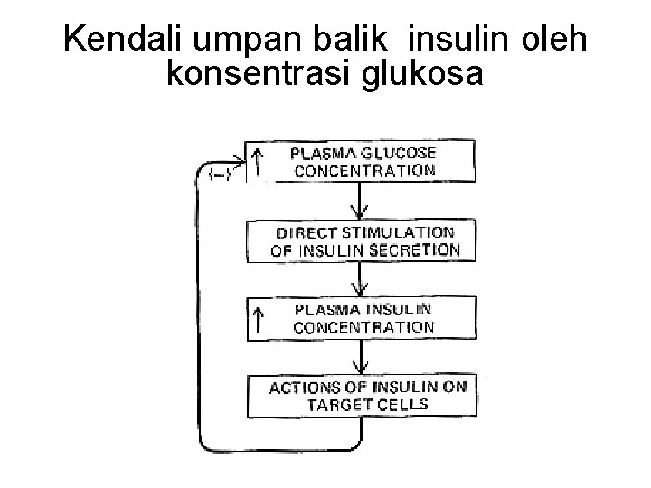 Kendali umpan balik insulin oleh konsentrasi glukosa 