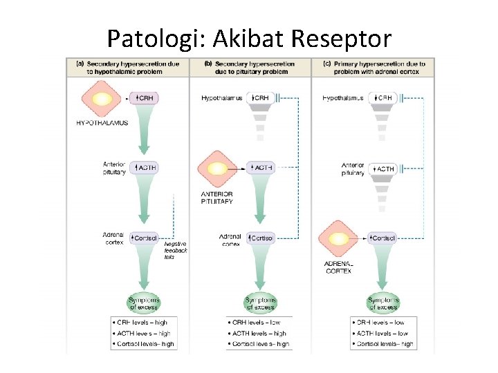 Patologi: Akibat Reseptor 