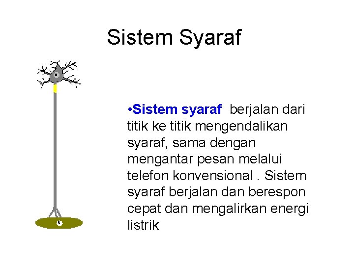 Sistem Syaraf • Sistem syaraf berjalan dari titik ke titik mengendalikan syaraf, sama dengan