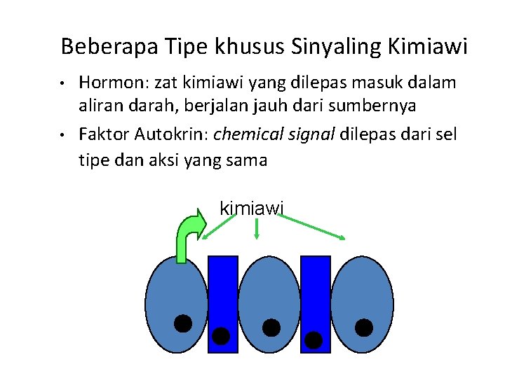 Beberapa Tipe khusus Sinyaling Kimiawi • • Hormon: zat kimiawi yang dilepas masuk dalam