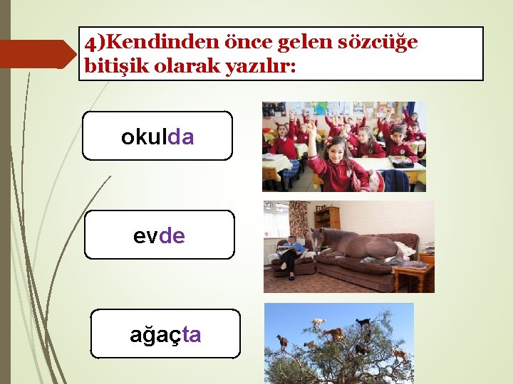 4)Kendinden önce gelen sözcüğe bitişik olarak yazılır: okulda evde ağaçta 