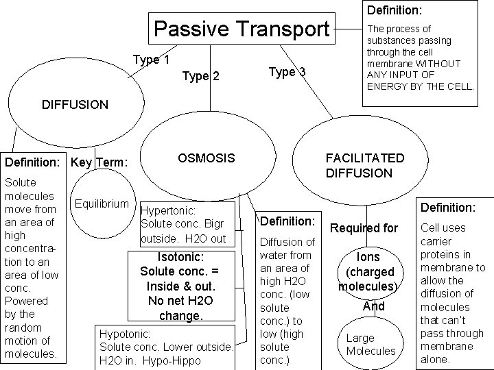 Passive Transport Type 1 Type 2 Type 3 Definition: The process of substances passing