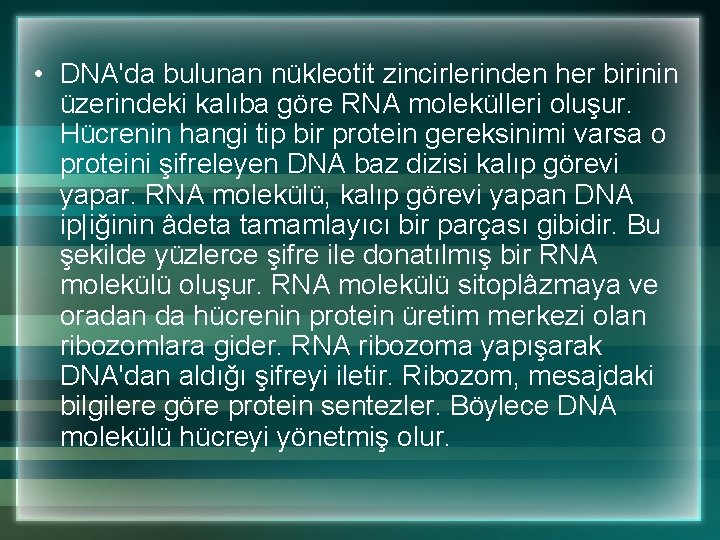  • DNA'da bulunan nükleotit zincirlerinden her birinin üzerindeki kalıba göre RNA molekülleri oluşur.