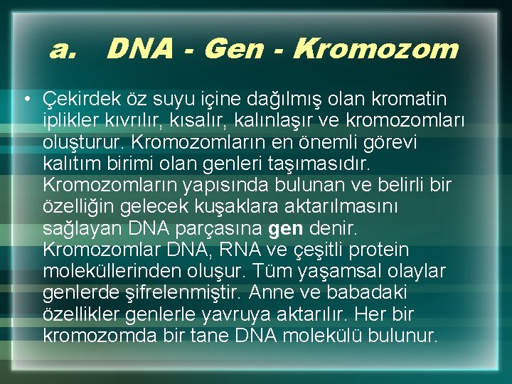 a. DNA - Gen - Kromozom • Çekirdek öz suyu içine dağılmış olan kromatin