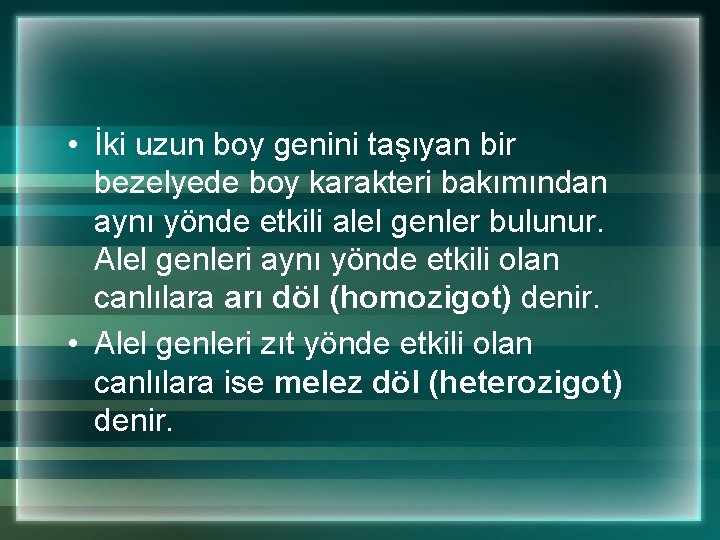  • İki uzun boy genini taşıyan bir bezelyede boy karakteri bakımından aynı yönde