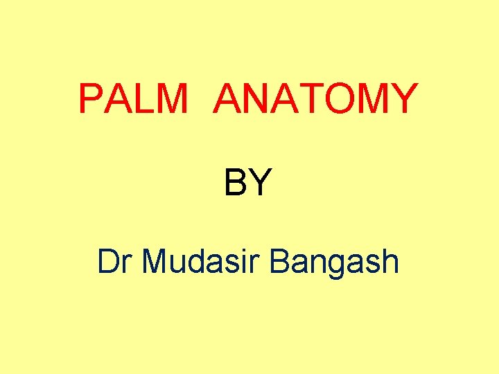 PALM ANATOMY BY Dr Mudasir Bangash 