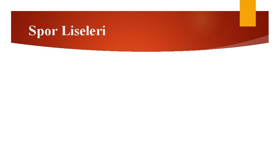 Spor Liseleri 