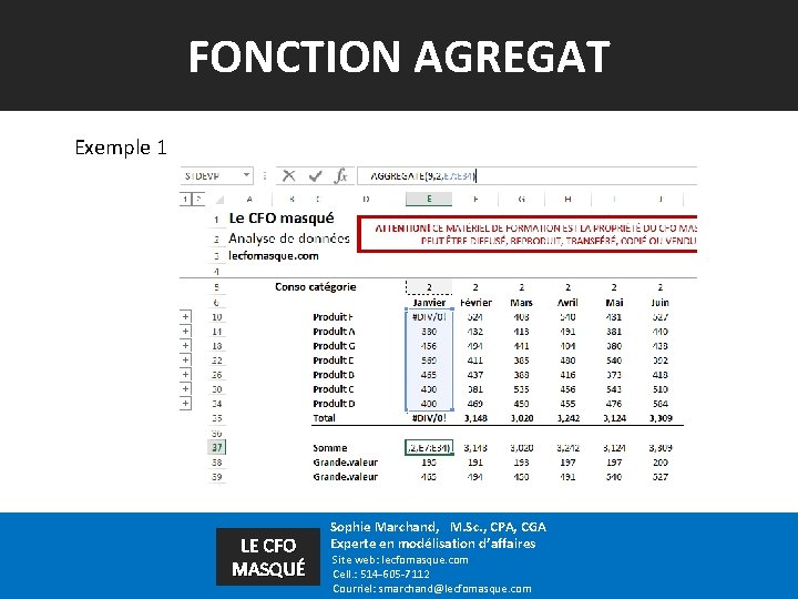 FONCTION AGREGAT Exemple 1 LE CFO MASQUÉ Sophie Marchand, M. Sc. , CPA, CGA