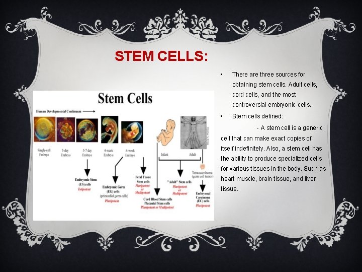 STEM CELLS: • There are three sources for obtaining stem cells. Adult cells, cord
