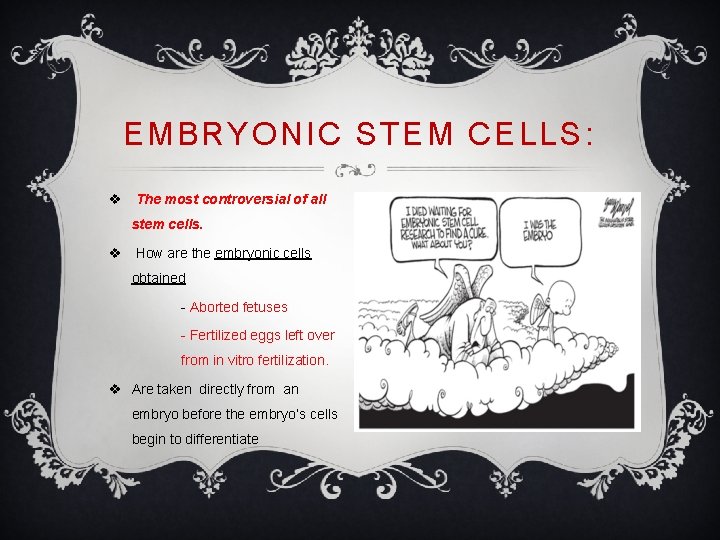 EMBRYONIC STEM CELLS: v The most controversial of all stem cells. v How are
