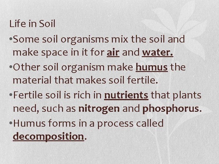 Life in Soil • Some soil organisms mix the soil and make space in