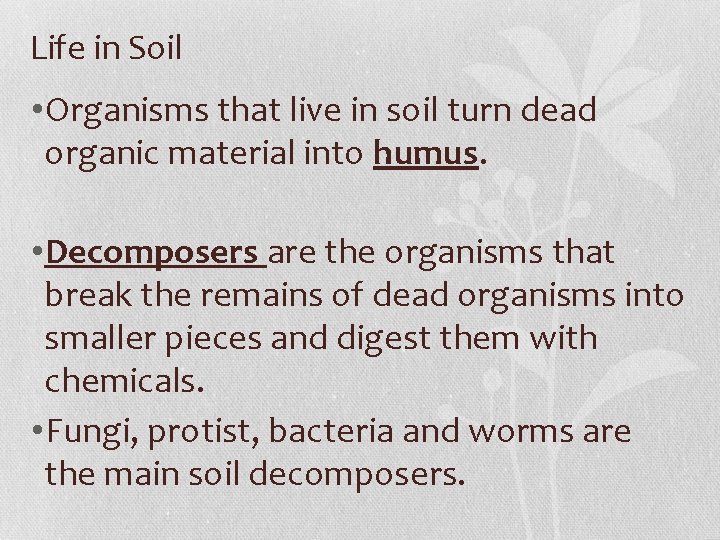 Life in Soil • Organisms that live in soil turn dead organic material into